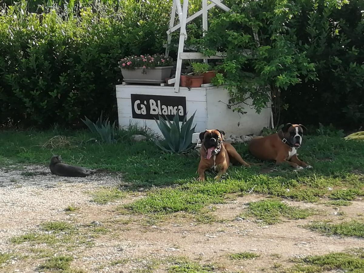 Bed & Breakfast Ca' Blanca