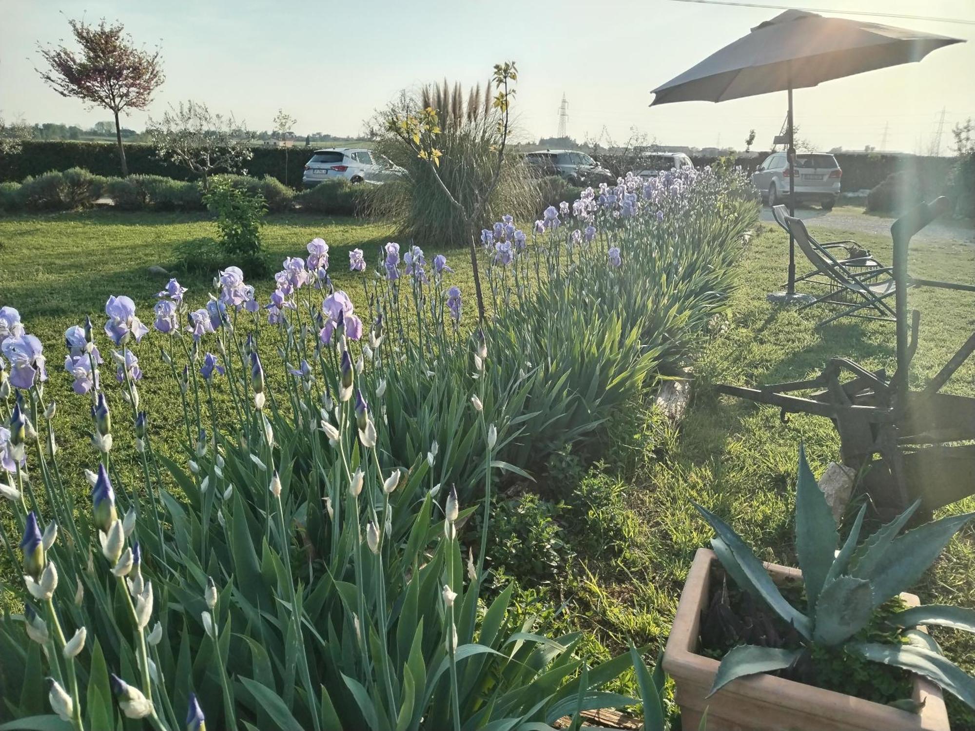 Ca' Blanca Bed & Breakfast Castelnuovo del Garda